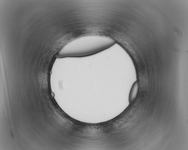 X0000111380489200908211343