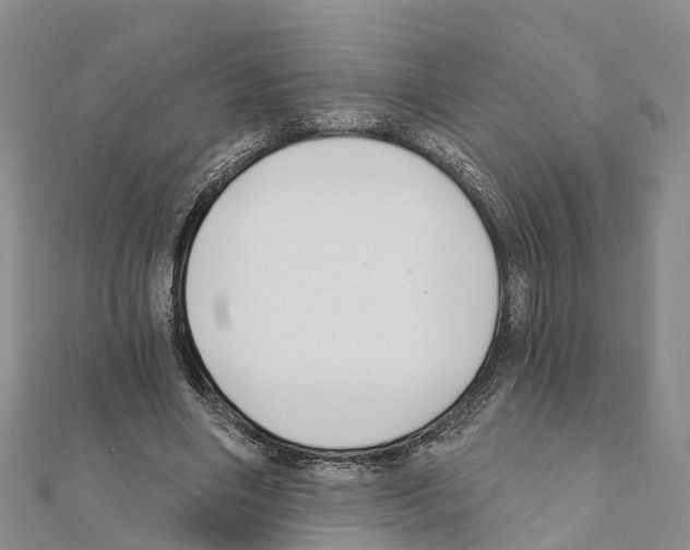 X0000111380490200908211343