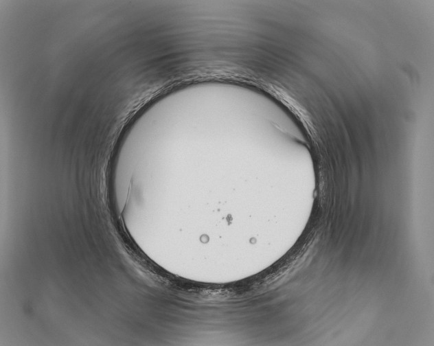 X0000111380493200908211343