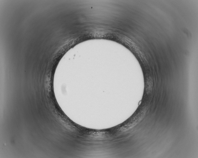 X0000111380497200908211343