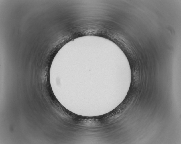 X0000111380499200908211343