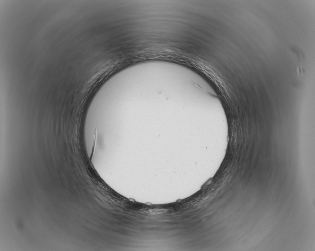 X0000111380501200908211343