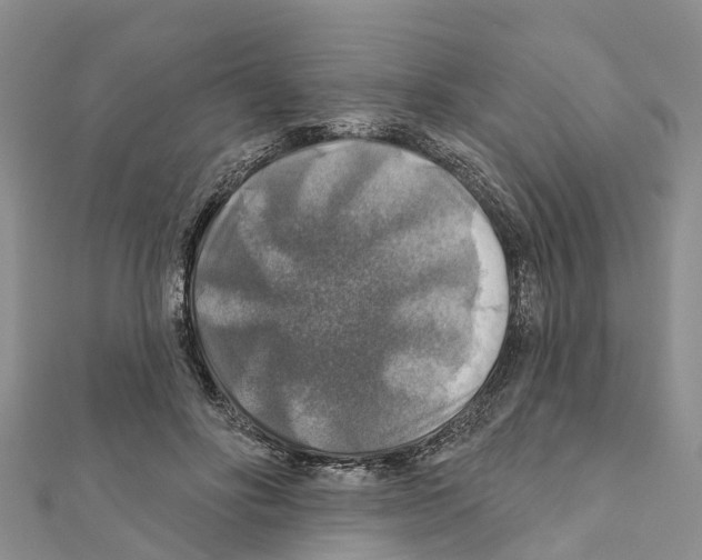 X0000111380502200908211343