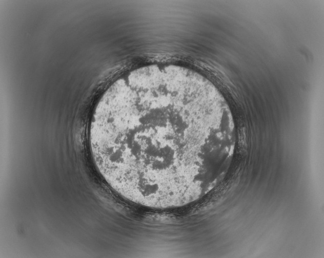 X0000111380503200908211343