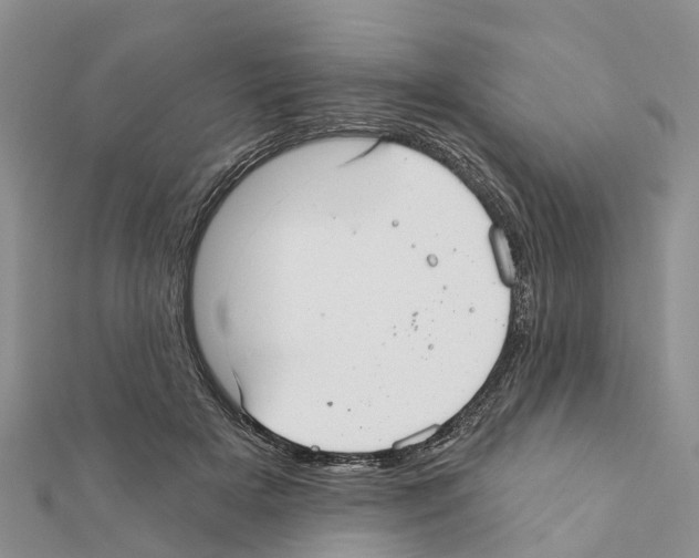 X0000111380505200908211343