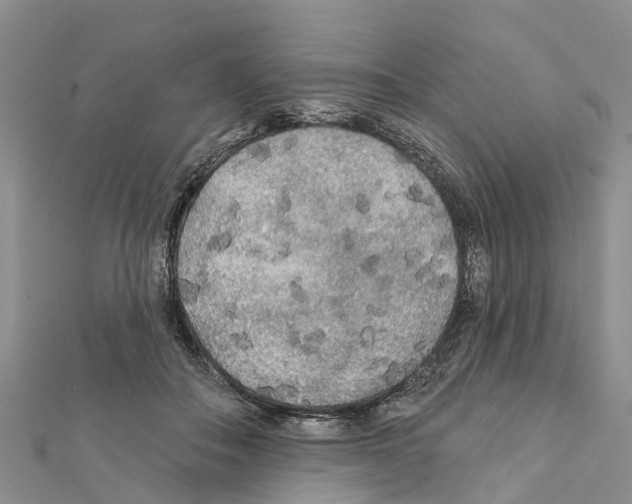 X0000111380506200908211343