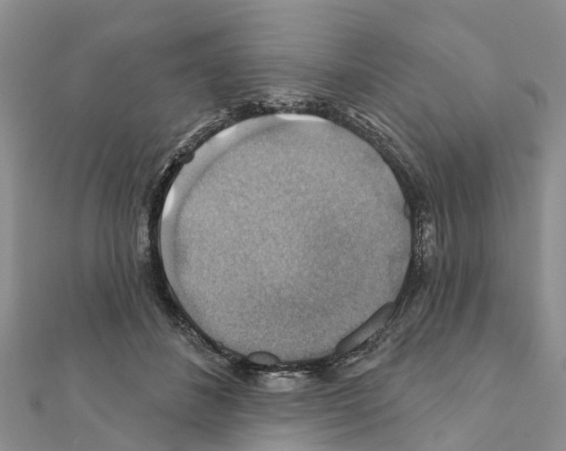 X0000111380508200908211343