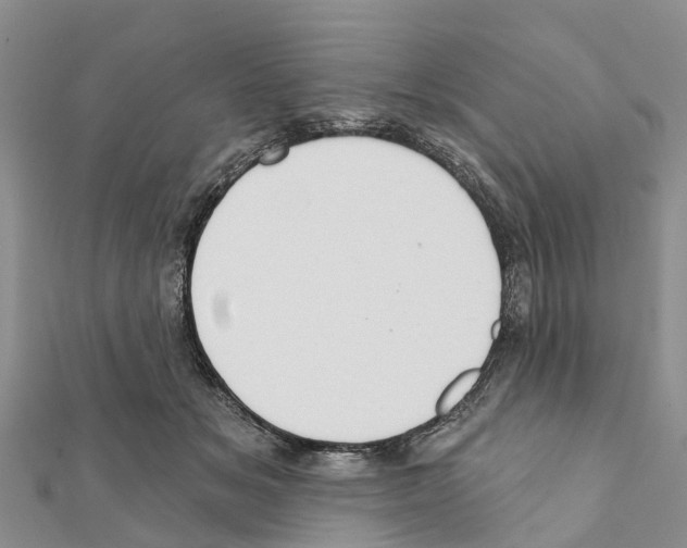 X0000111380509200908211343