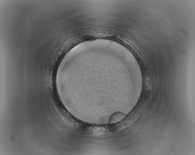 X0000111380512200908211343