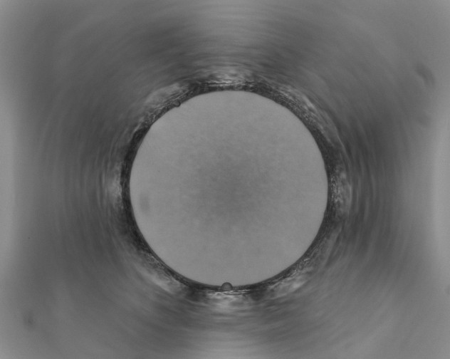 X0000111380516200908211343