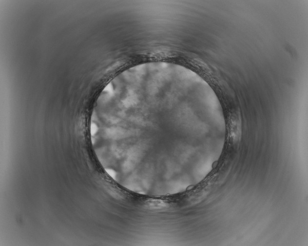 X0000111380519200908211343