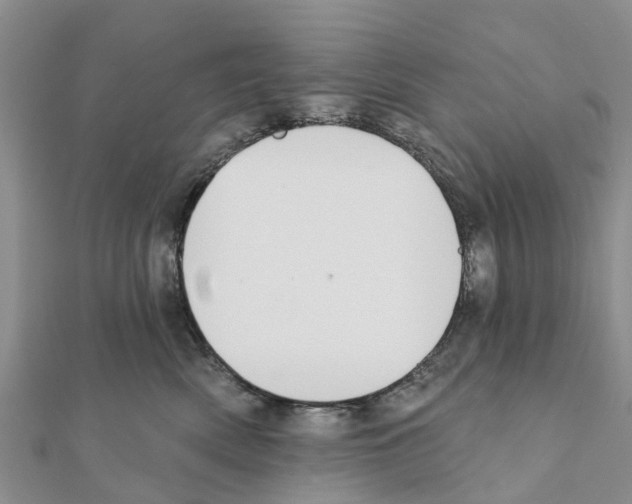 X0000111380522200908211343