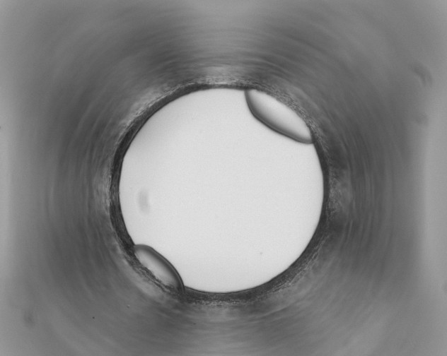 X0000111380530200908211342