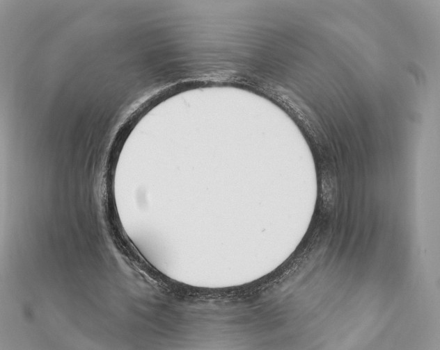 X0000111380532200908211342