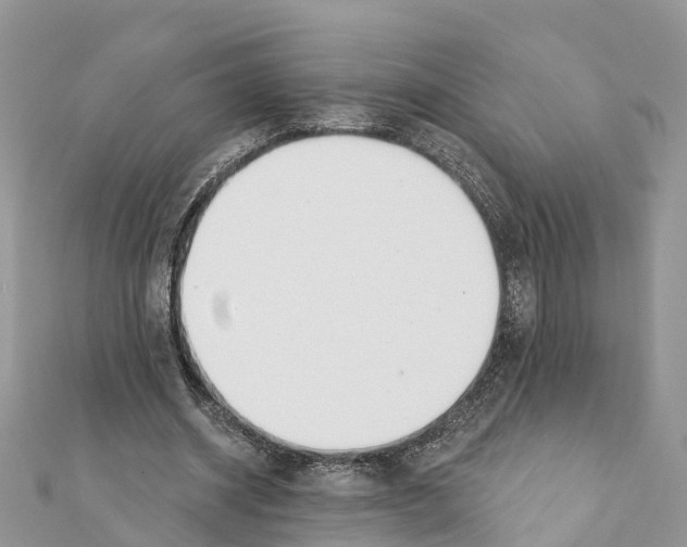 X0000111380534200908211342