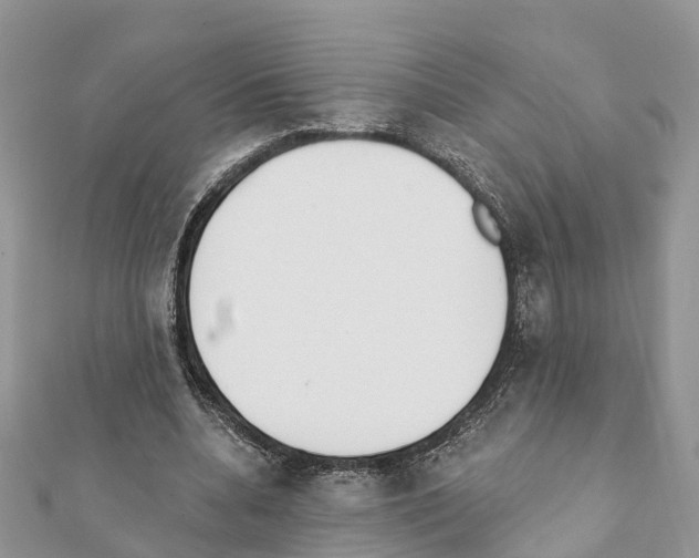 X0000111380536200908211342