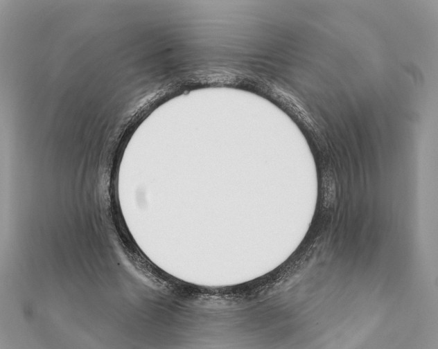 X0000111380538200908211342