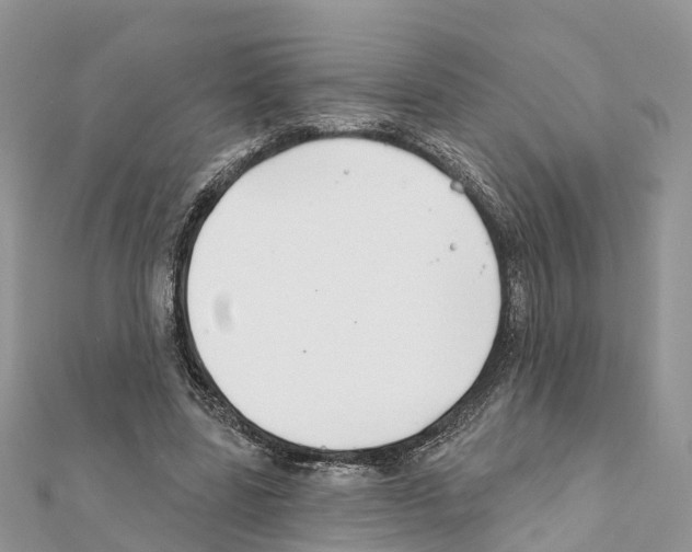 X0000111380539200908211342