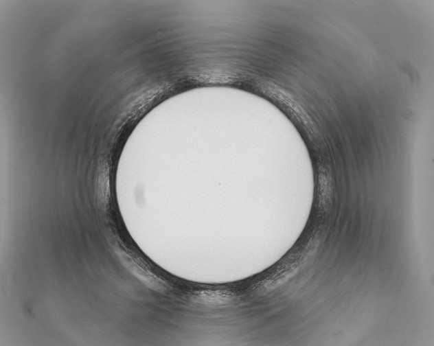 X0000111380541200908211342