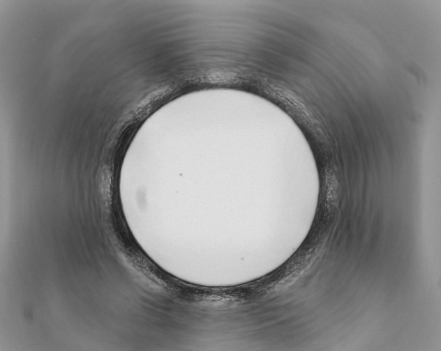 X0000111380542200908211342