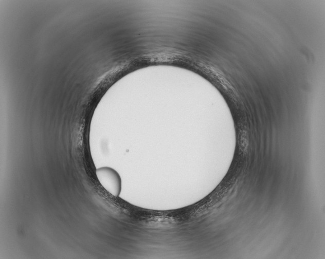 X0000111380543200908211342