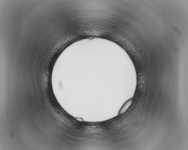 X0000111380544200908211342