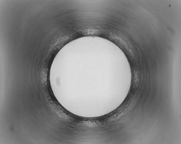 X0000111380545200908211342