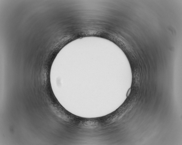 X0000111380546200908211342