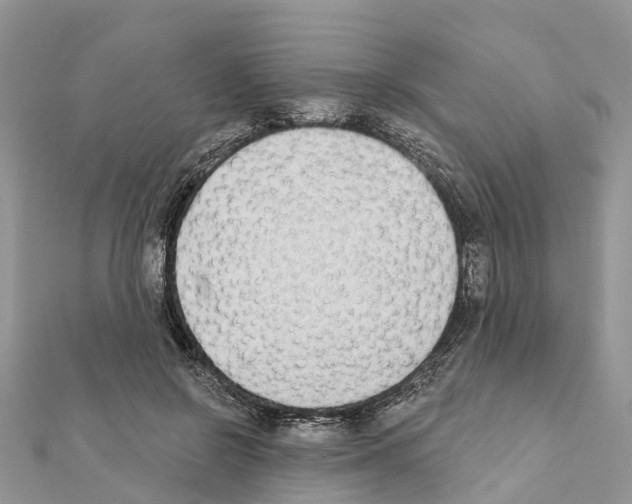 X0000111380550200908211342