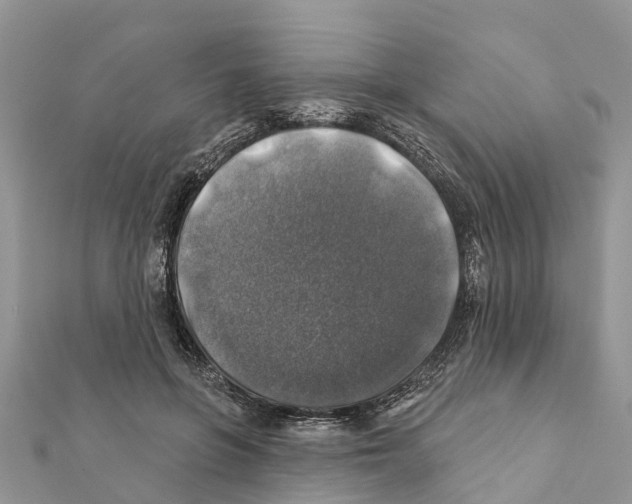 X0000111380551200908211342