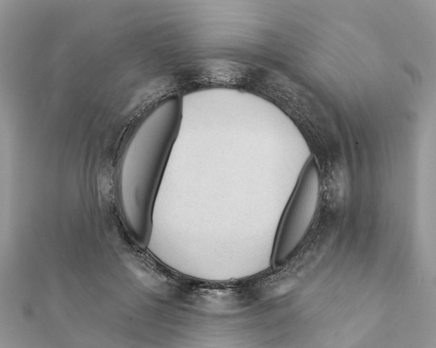 X0000111380552200908211342