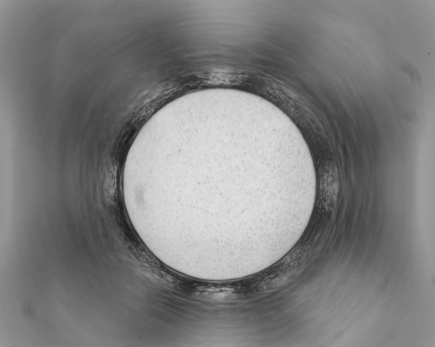 X0000111380554200908211342