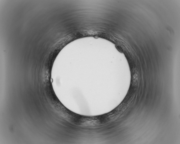 X0000111380555200908211342