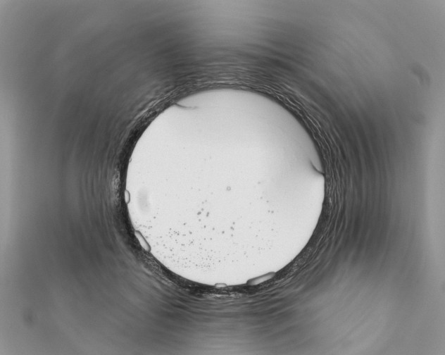 X0000111380556200908211342