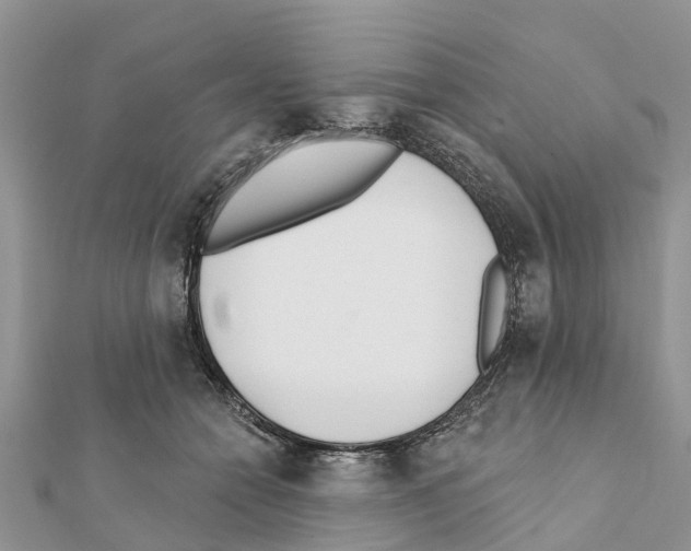 X0000111380558200908211342