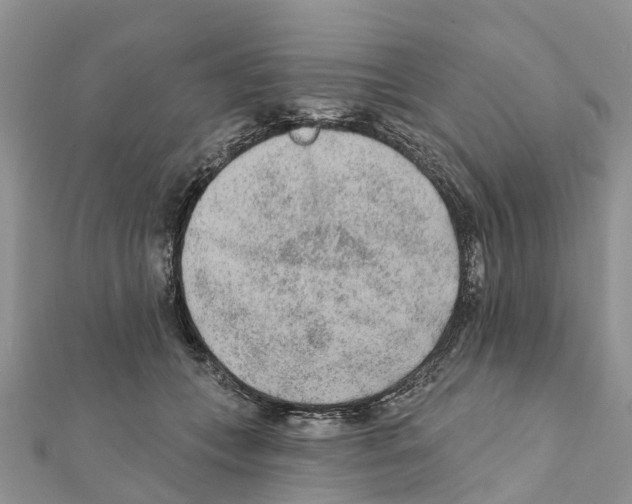 X0000111380559200908211342