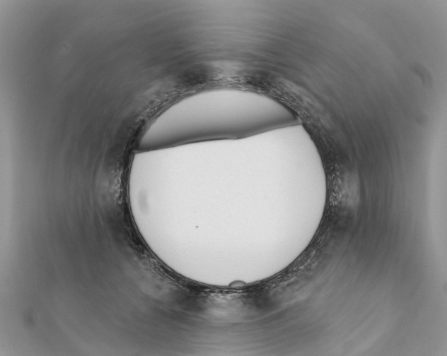 X0000111380560200908211342