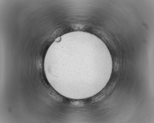 X0000111380561200908211343