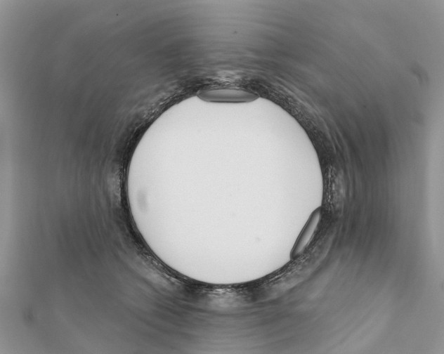 X0000111380562200908211343