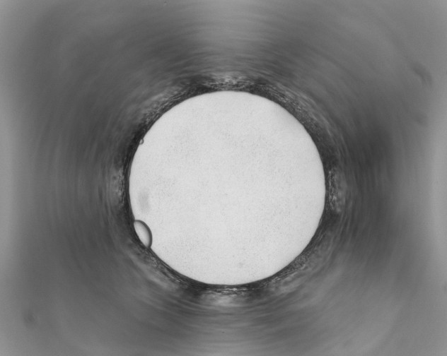 X0000111380563200908211343