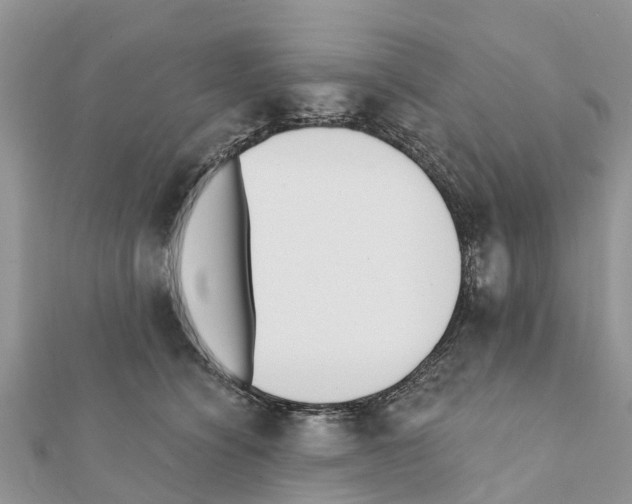 X0000111380564200908211343