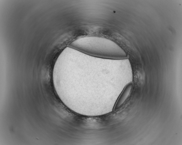 X0000111380566200908211343