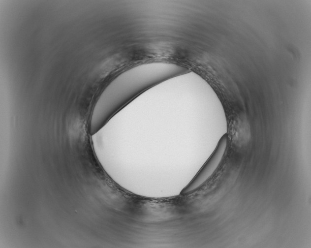 X0000111380568200908211343