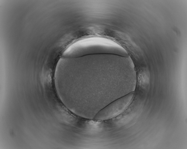 X0000111380570200908211343