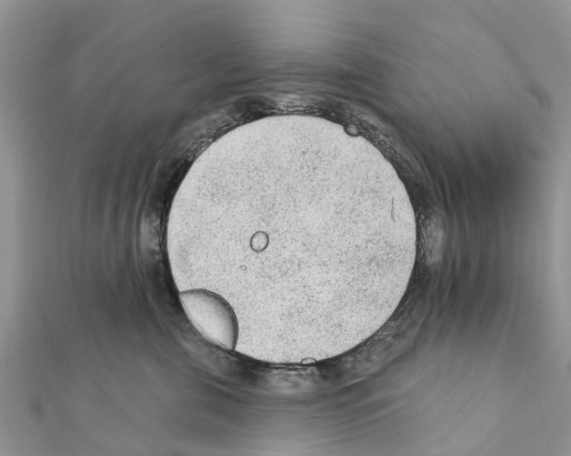 X0000111380571200908211343