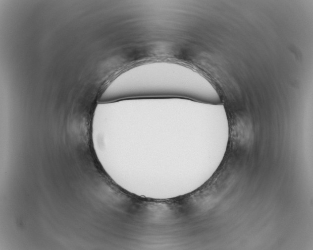 X0000111380572200908211343