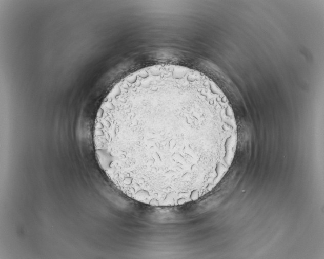 X0000111380573200908211343