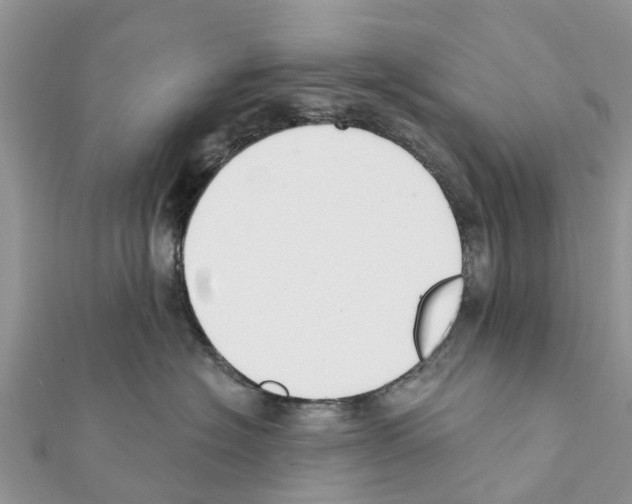 X0000111380574200908211343