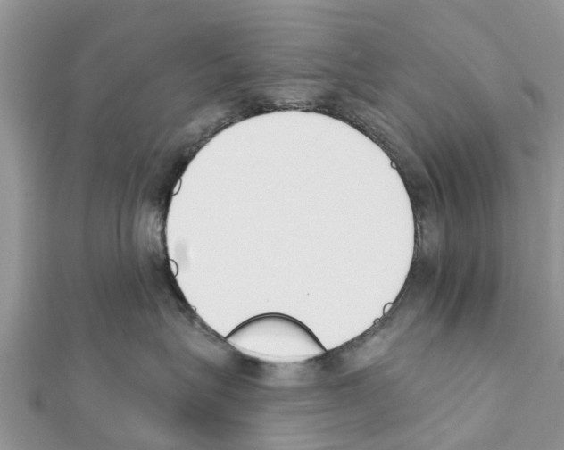 X0000111380575200908211343