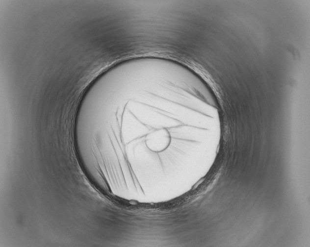 X0000111380577200908211342